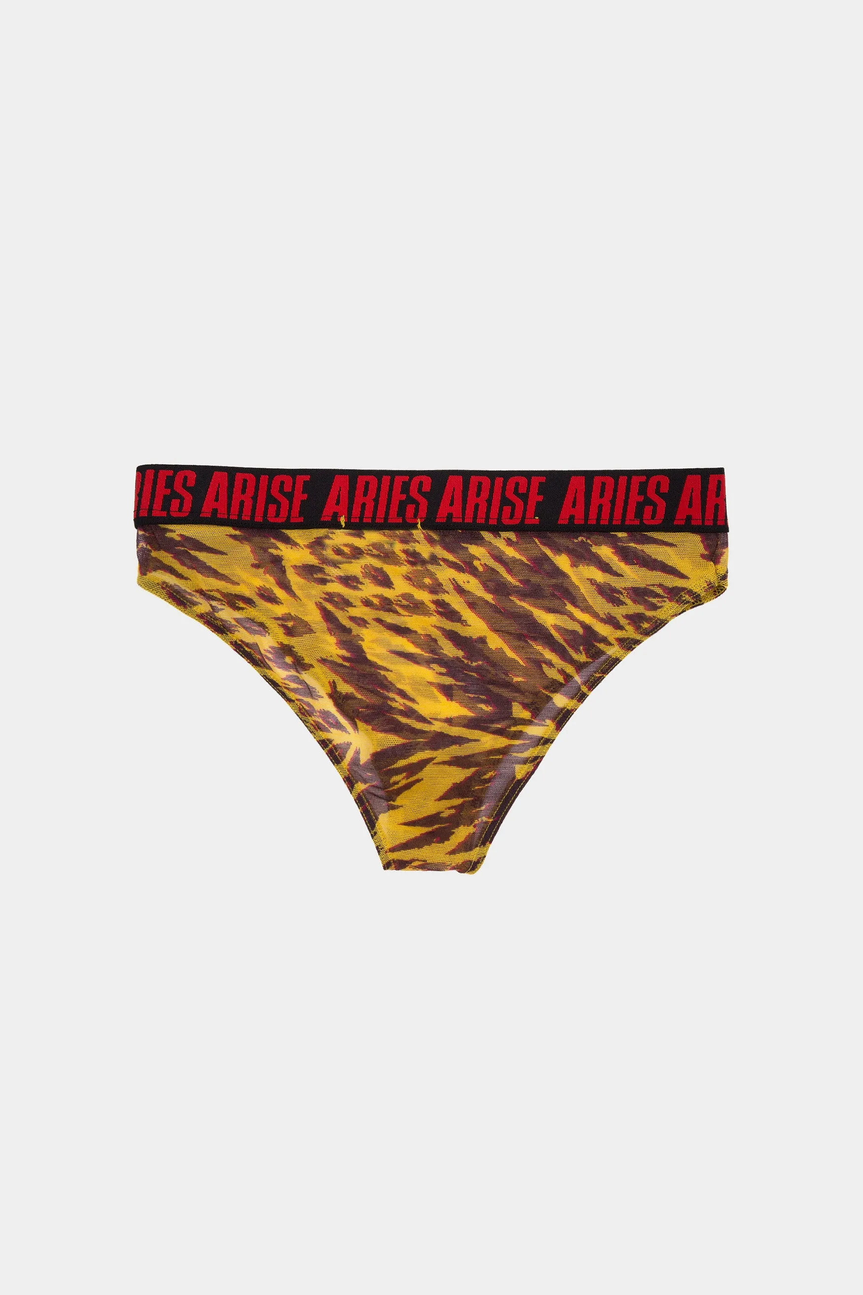 Animal Print Mesh Briefs