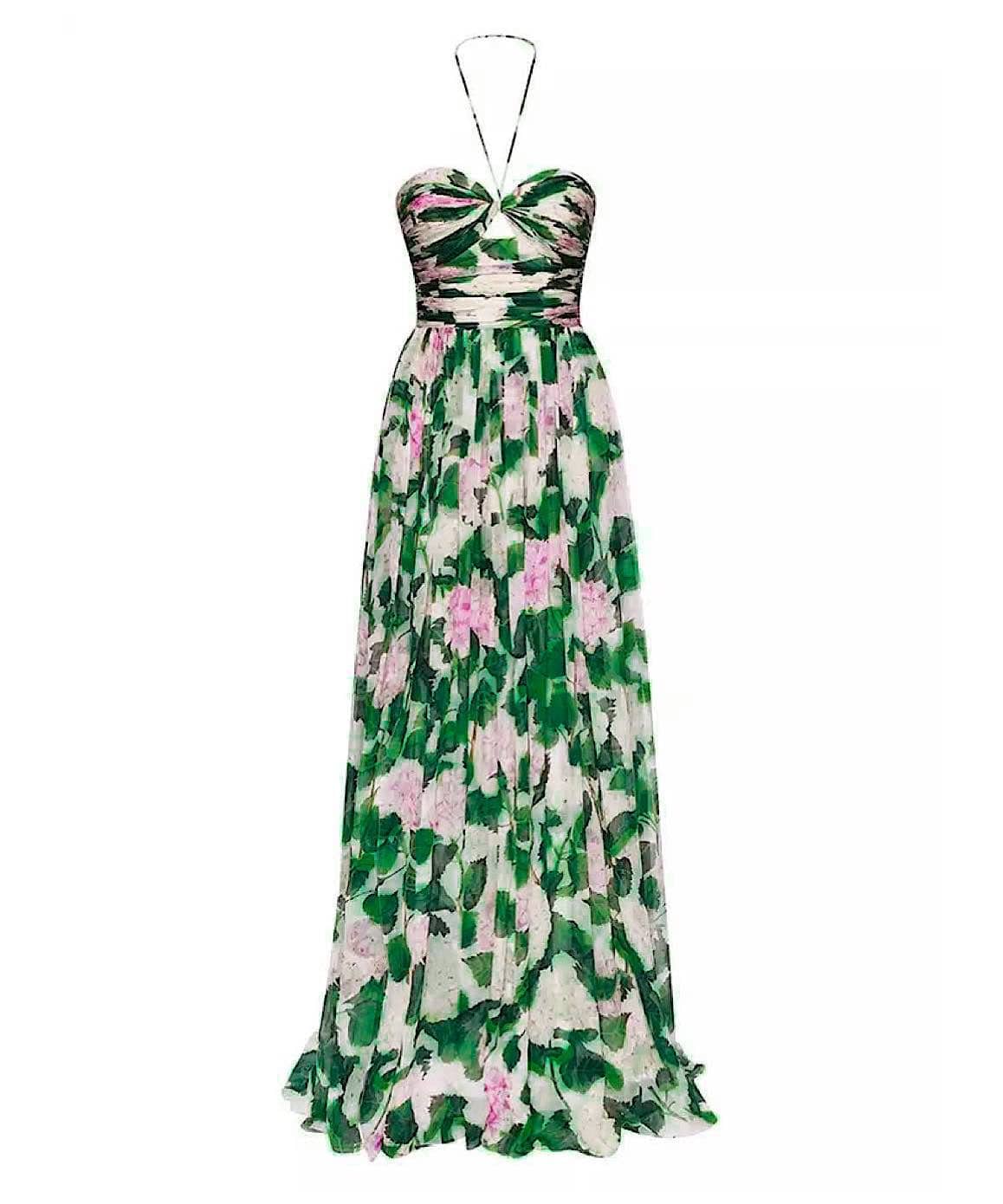 Botanical Print Maxi Dress