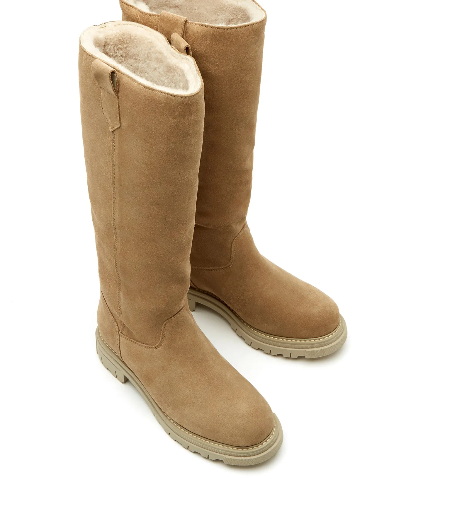 Dally Suede Shearling-Lined Boot