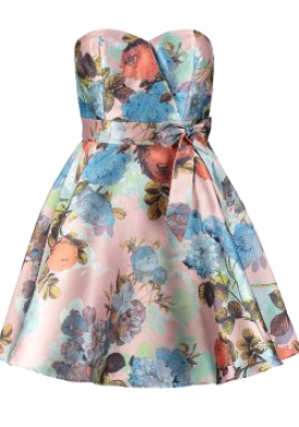 Google result: Small Pink Flower Dress