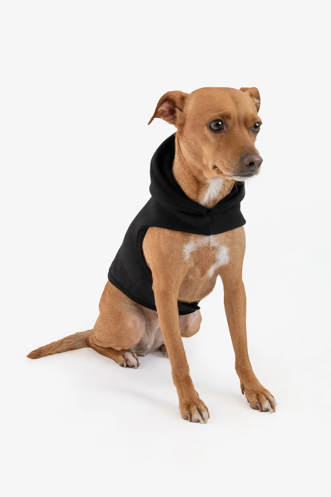 Heavy Fleece Dog Sweater HF-DOGHOOD