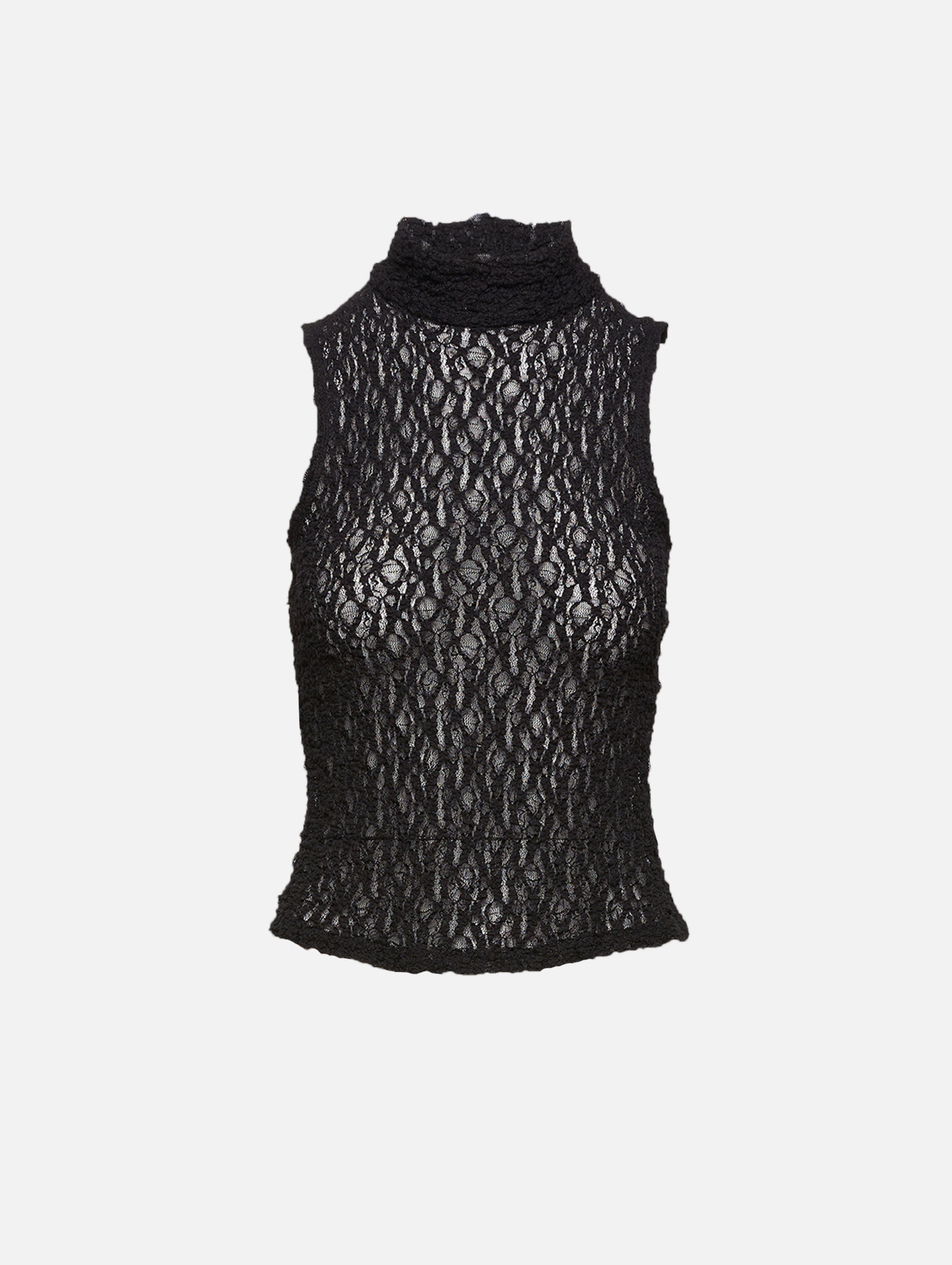 Result: Sheer Mesh Turtleneck Blouse