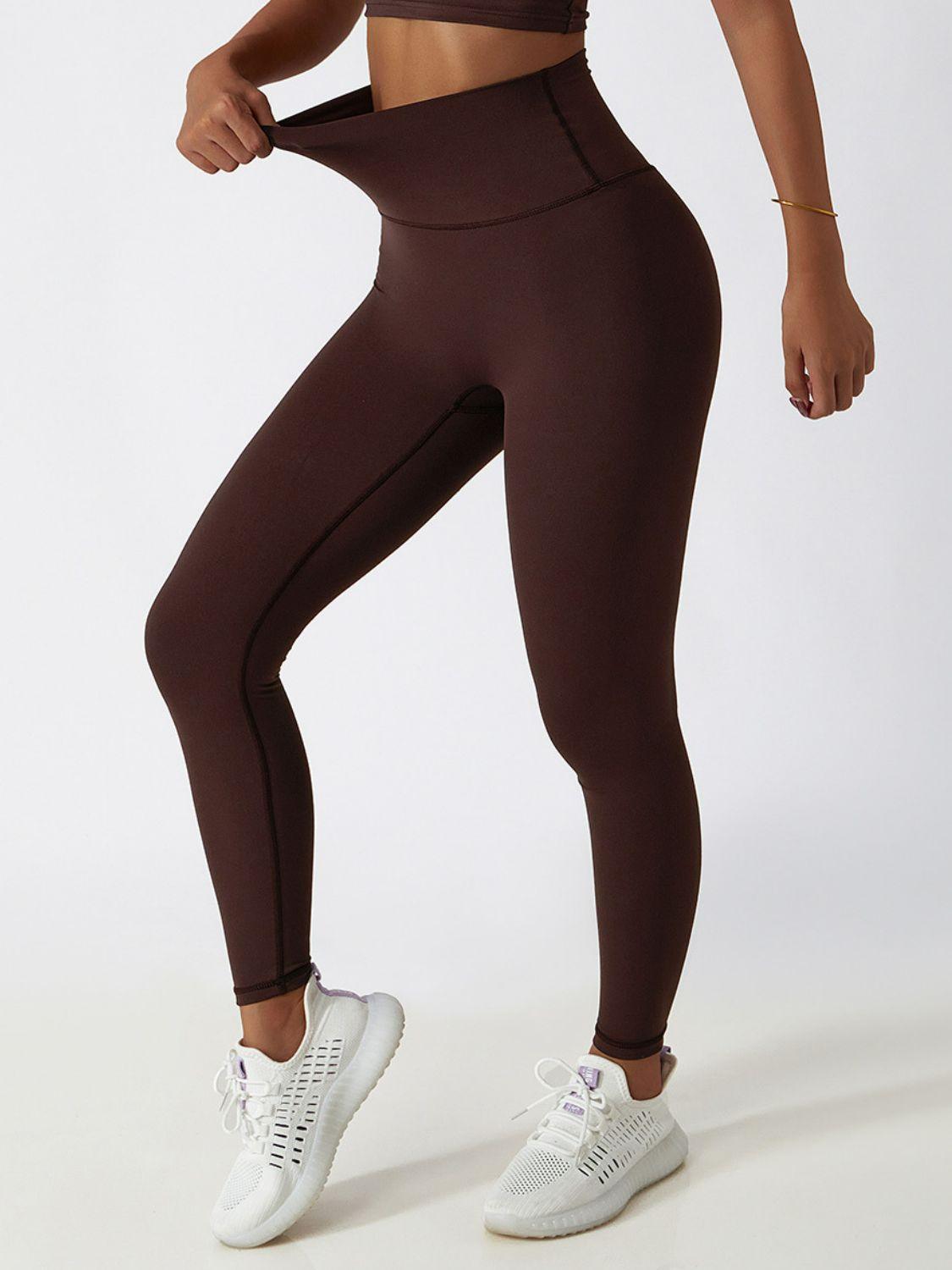 Sports Leggings Quick Dry Seamless