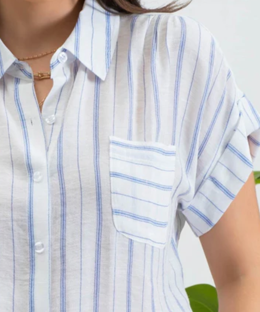 Blue Stripe Button Down Shirt