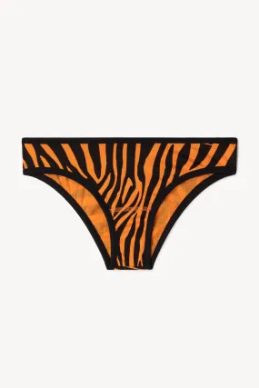 Briefs with Zebra Print